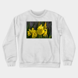 Yellow Flag Iris Crewneck Sweatshirt